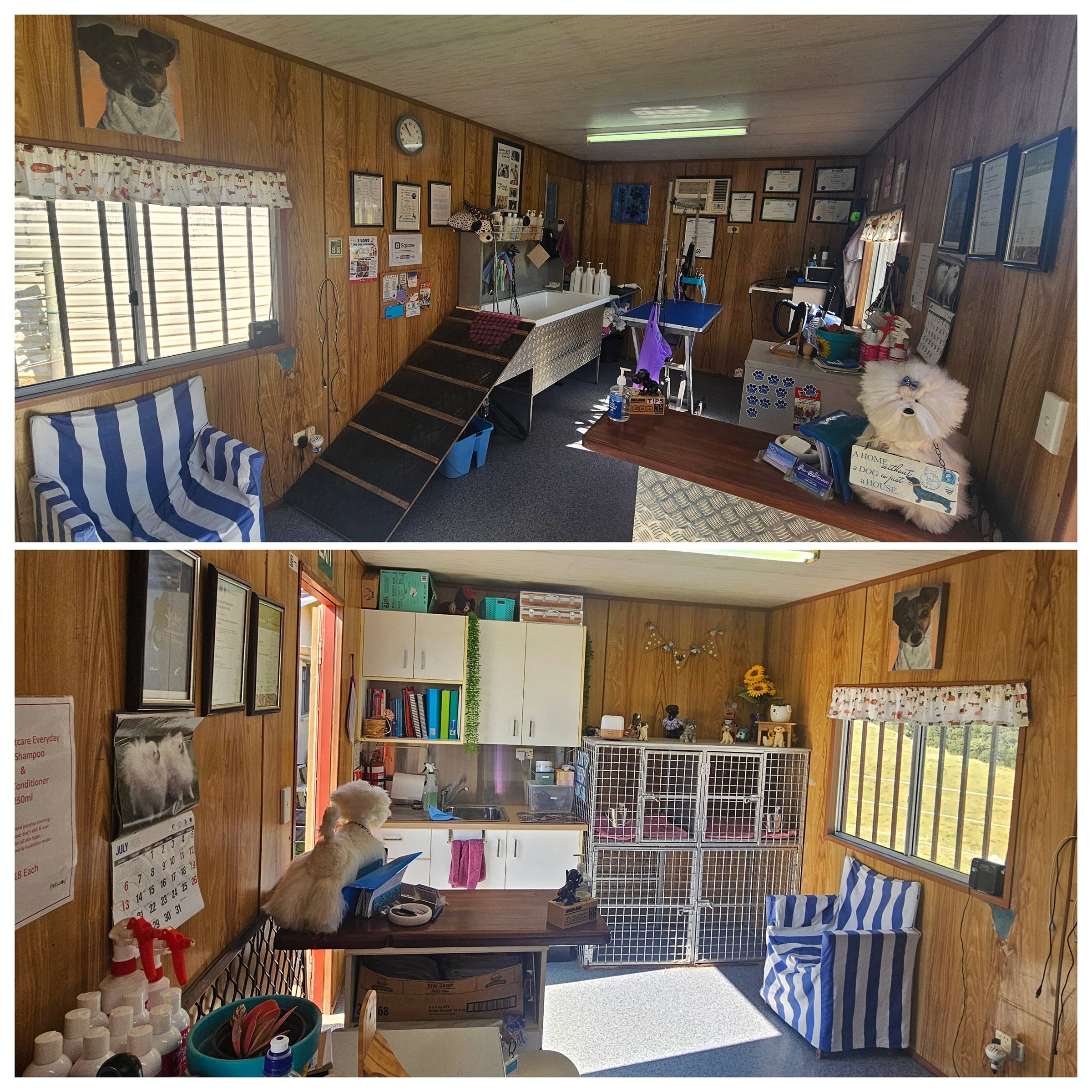 Inside the Pets with Pawsonality homebased grooming studio